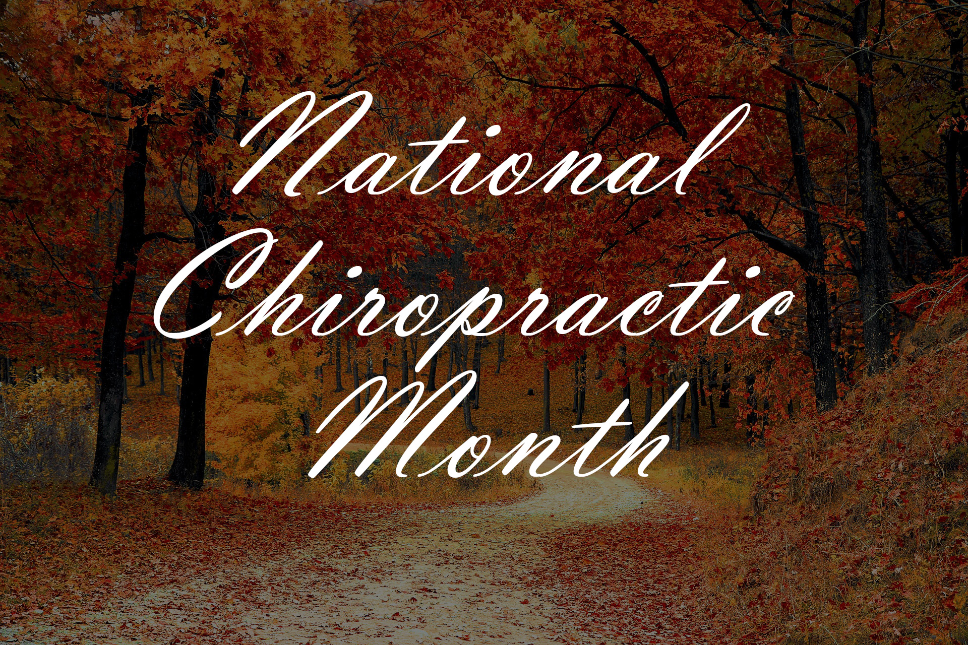 Back Pain in Focus During National Chiropractic Month